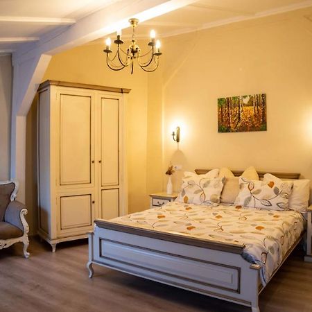 Oldtownvilla Studio Central Сибиу Экстерьер фото